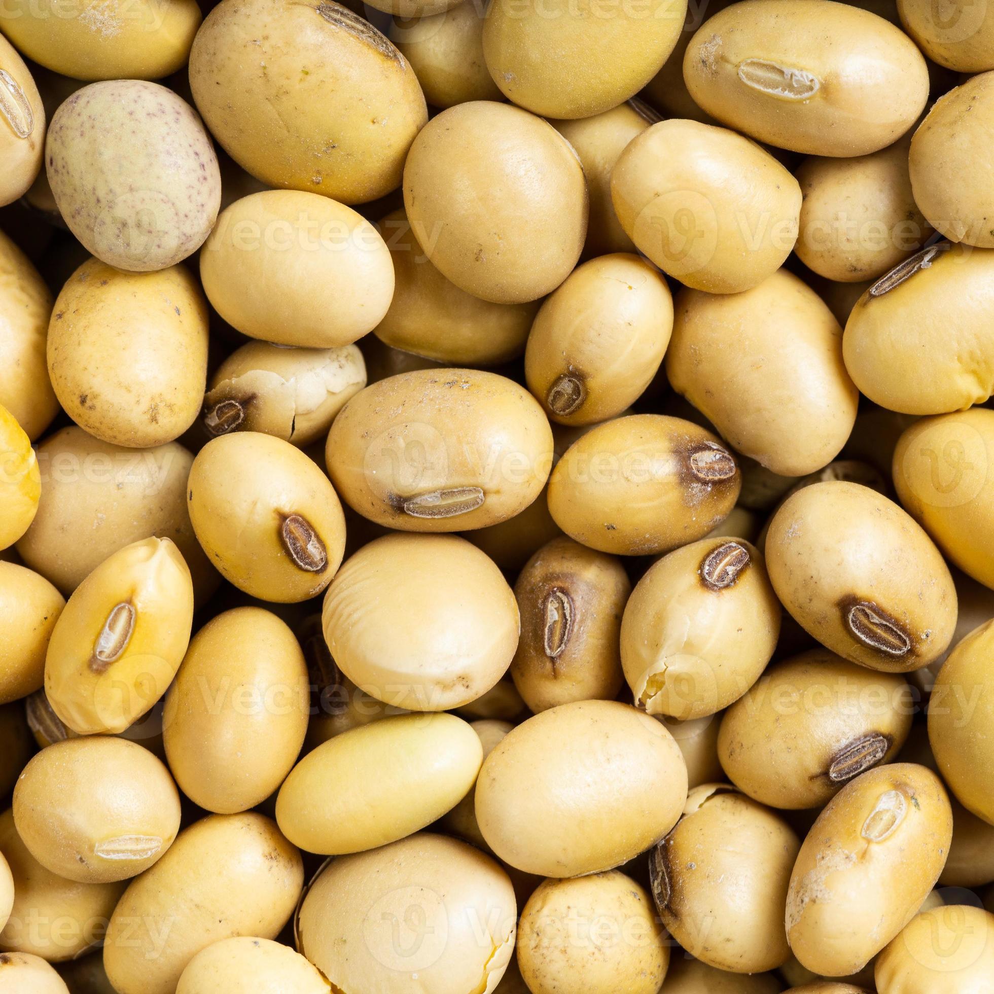 raw dried soybeans close up 11384039 Stock Photo at Vecteezy