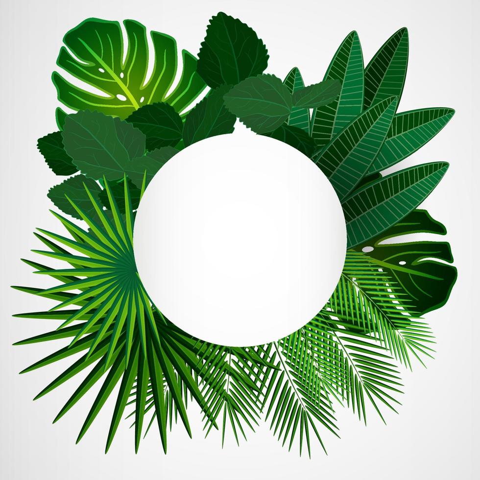 Tropical leaves border on isolate background. Vector illustration.