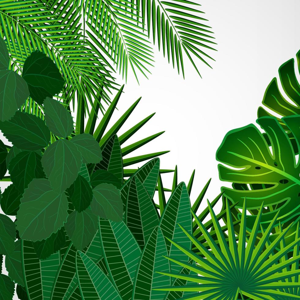 Tropical leaves border on isolate background. Vector illustration.