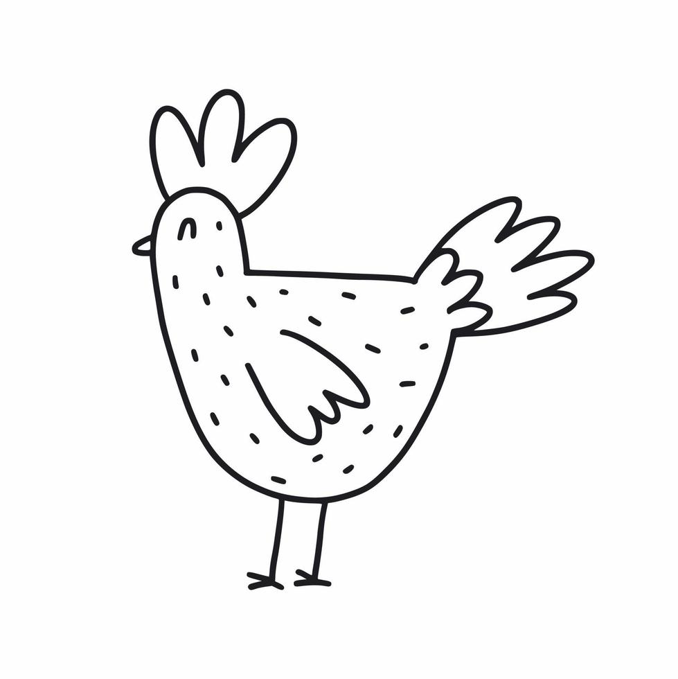 Chicken drawn with a black line vector