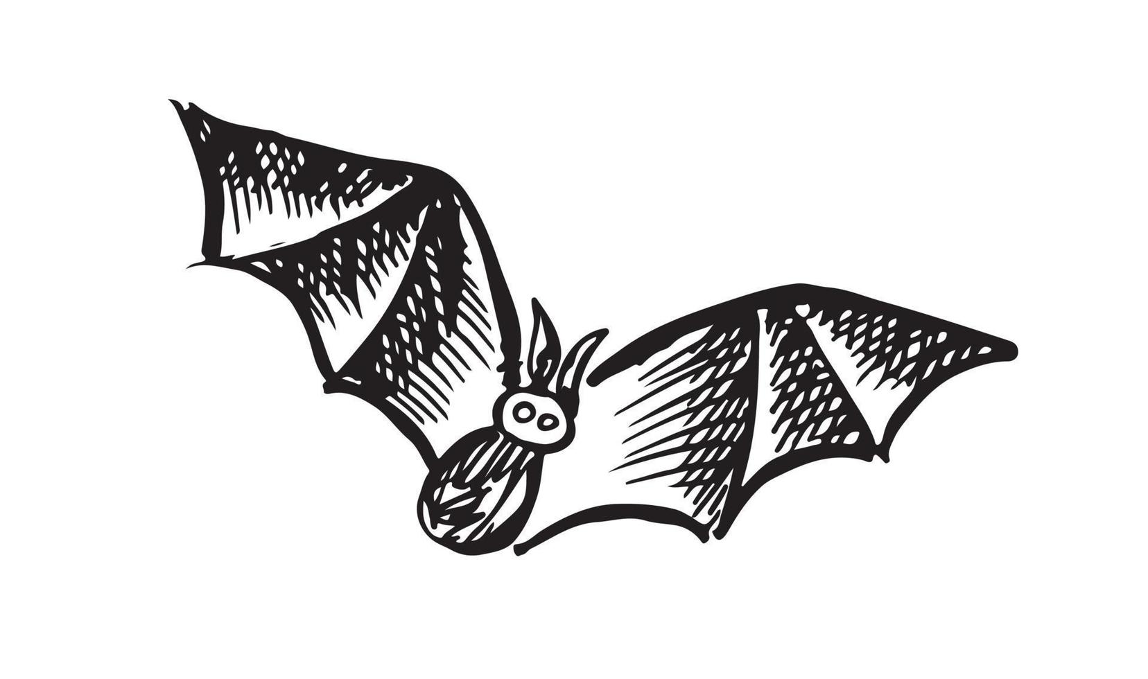 Flying bat, grunge illustration, vector. vector