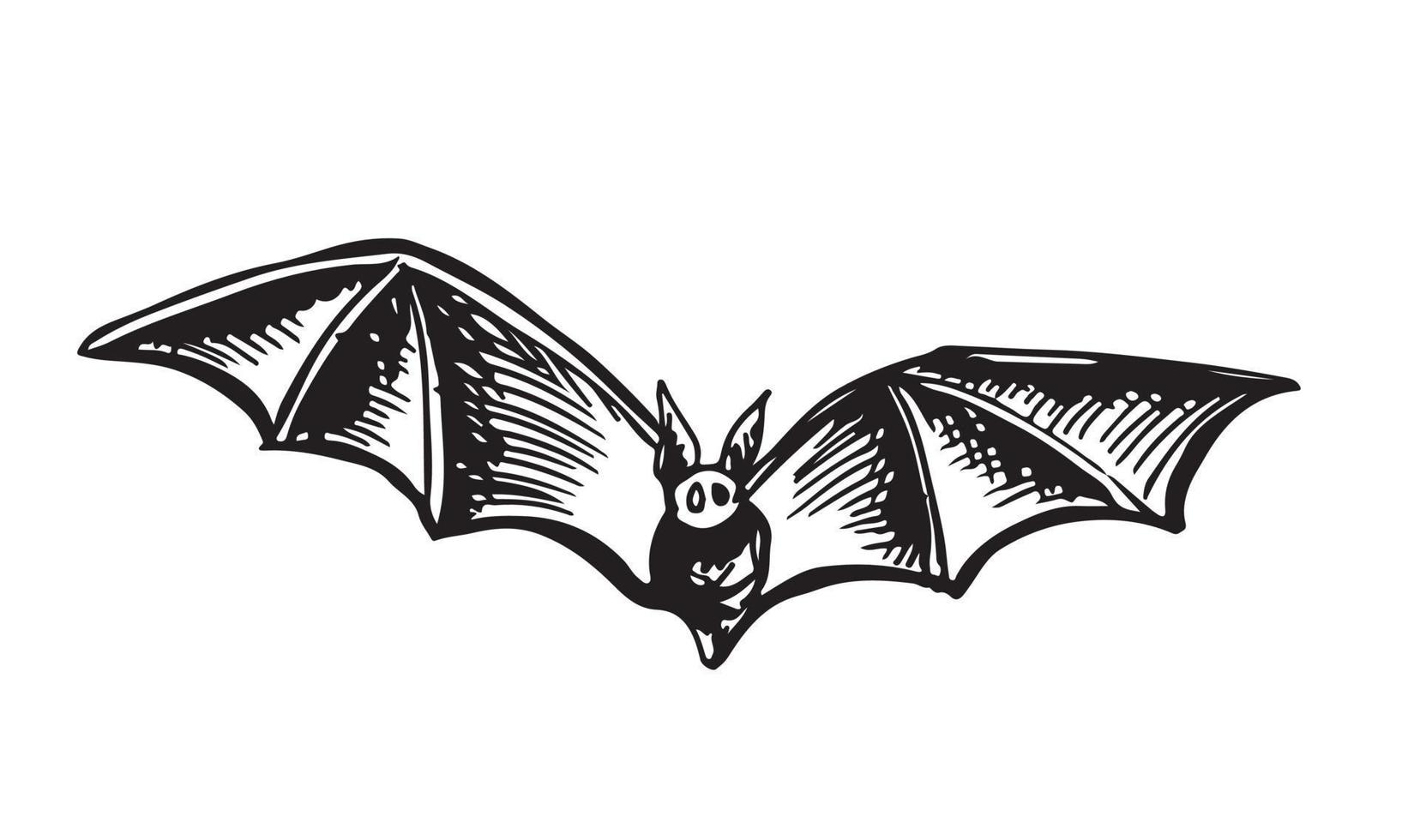 Flying bat, grunge illustration, vector. vector