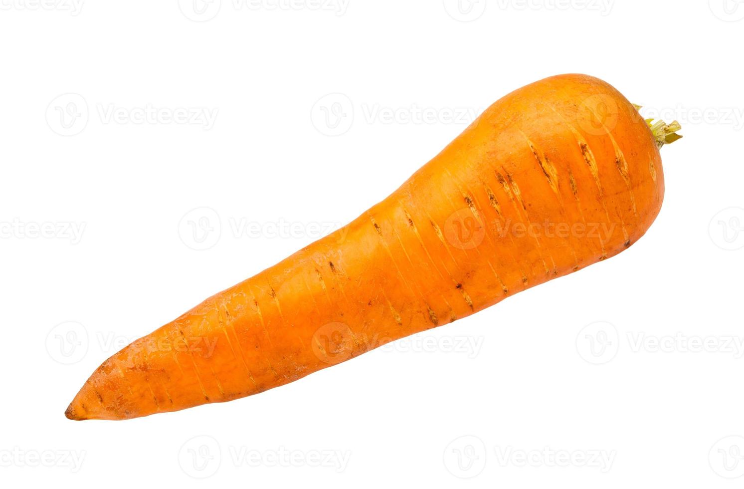 clean fresh garden carrot isolated on white photo