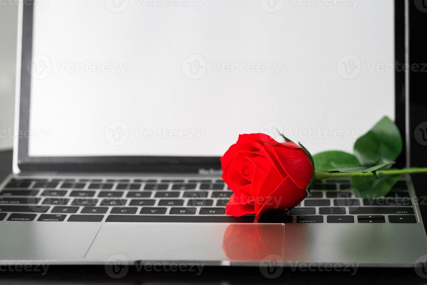 rosa roja y la computadora portátil en cubierta foto
