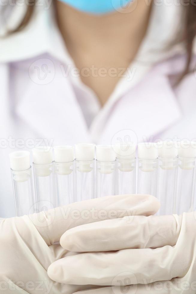 Scientist analyzing holding test tube in laboratory 11388513 Stock