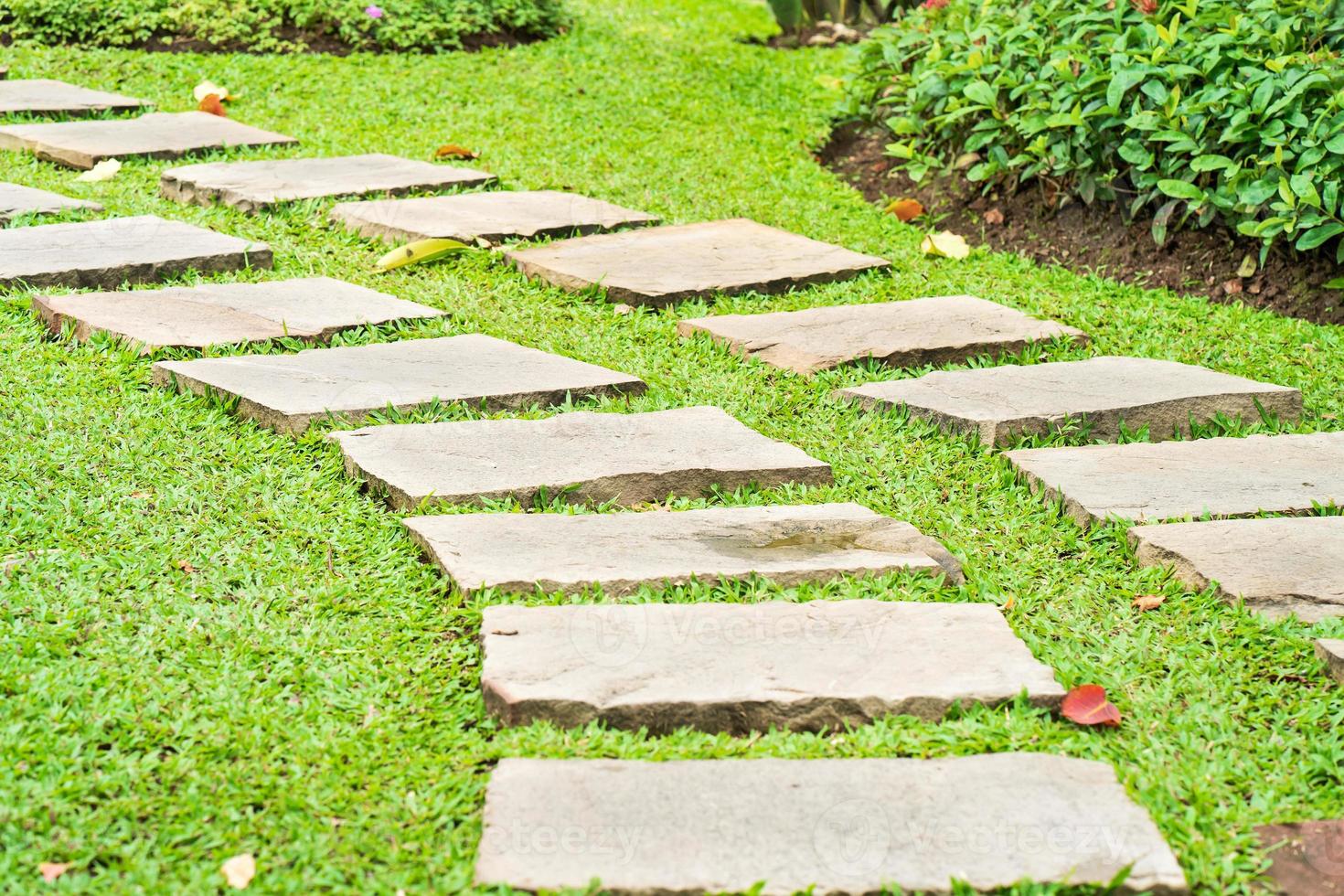 Stone path in park on green grass photo