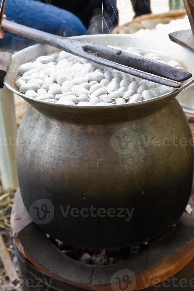 Boiling cocoon in a pot photo