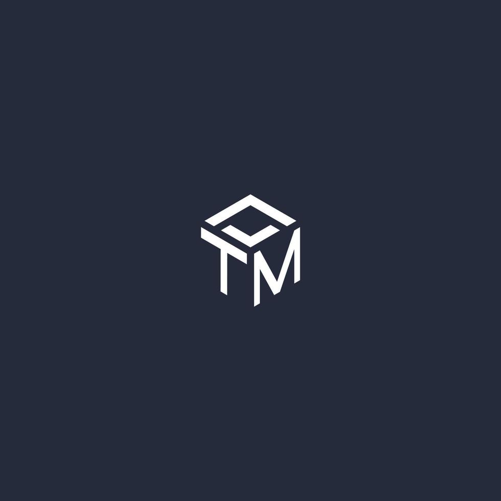 TM initial hexagon logo design vector
