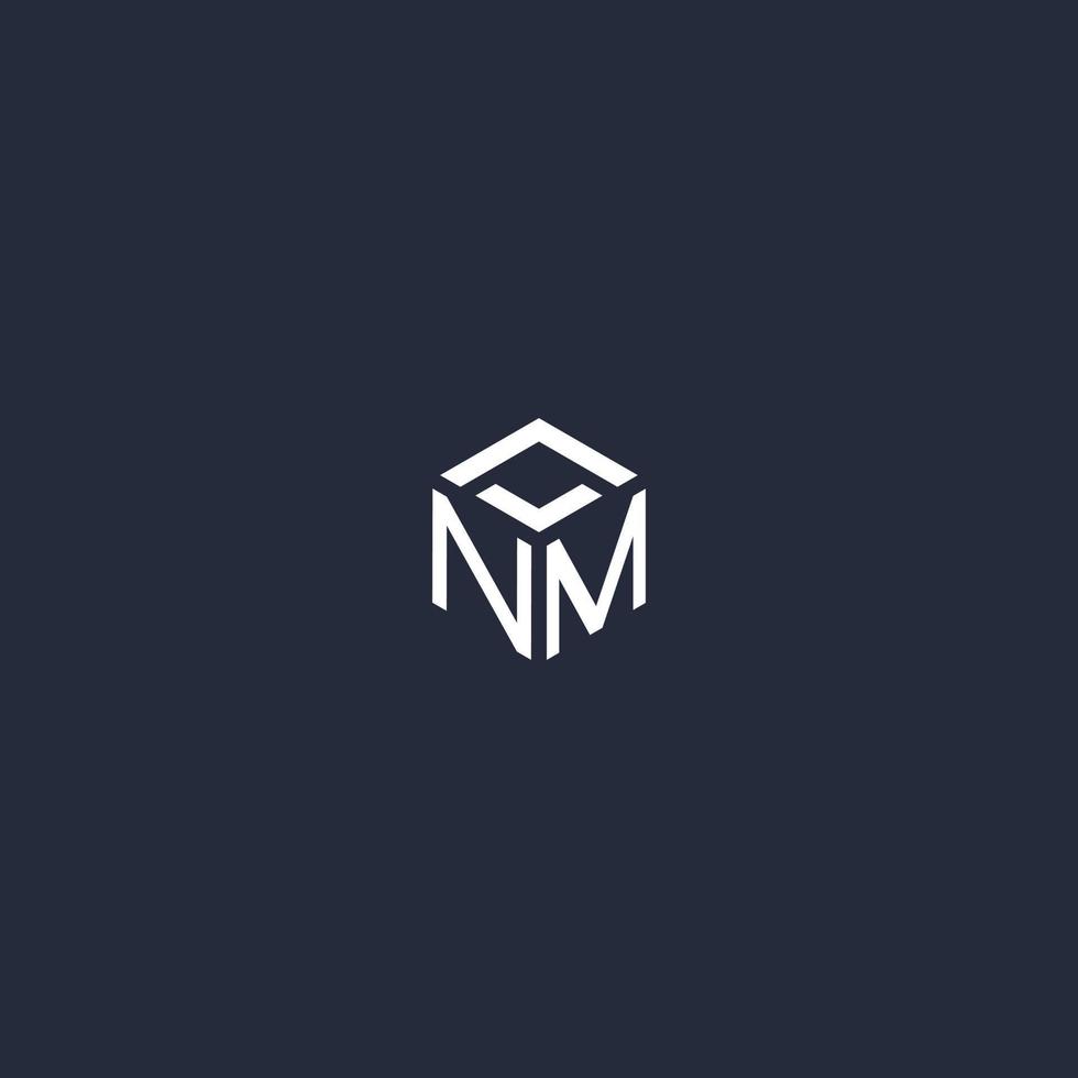 NM initial hexagon logo design vector