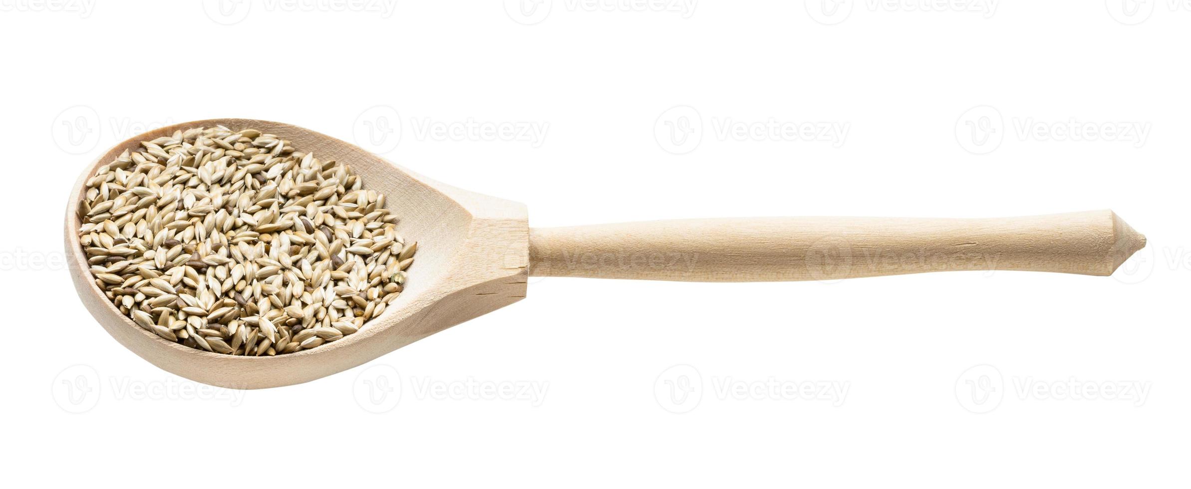 scagliola canary seeds in wooden spoon isolated photo