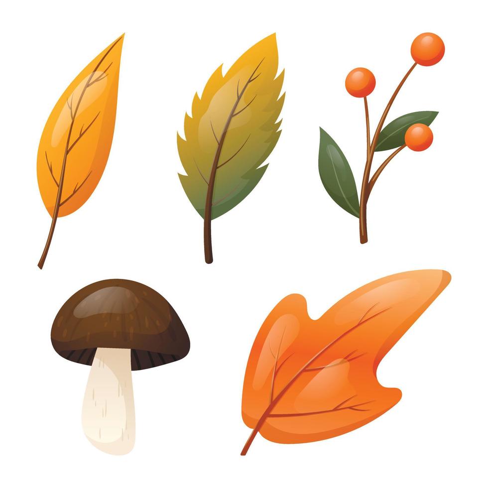 Set of vector isolated autumn elements. Fallen dry orange leaves of trees, a forest mushroom and a twig with berries.