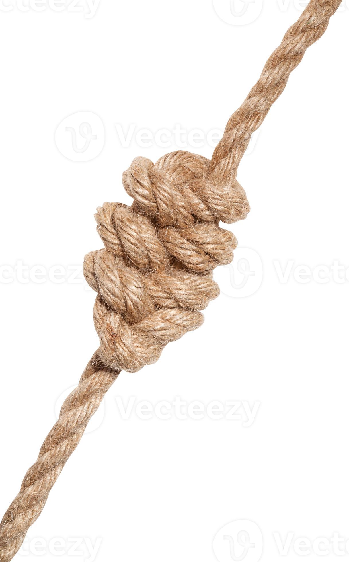 multiple figure-eight knot tied on thick jute rope 11392516 Stock