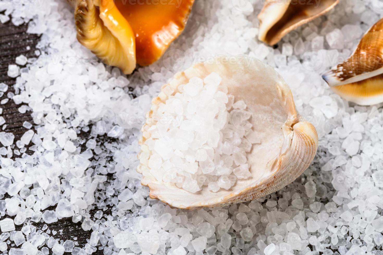 Seashell with coarse grained Sea Salt on table photo