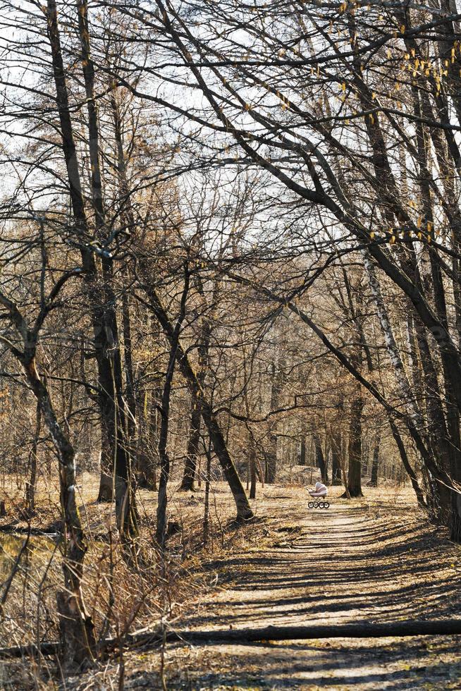 baby buggy and walking path in urban park photo