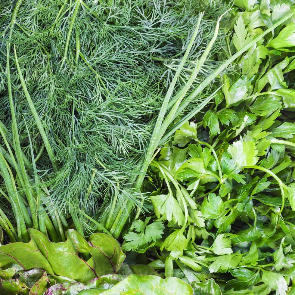 various wet garden greenery and herbs close-up photo