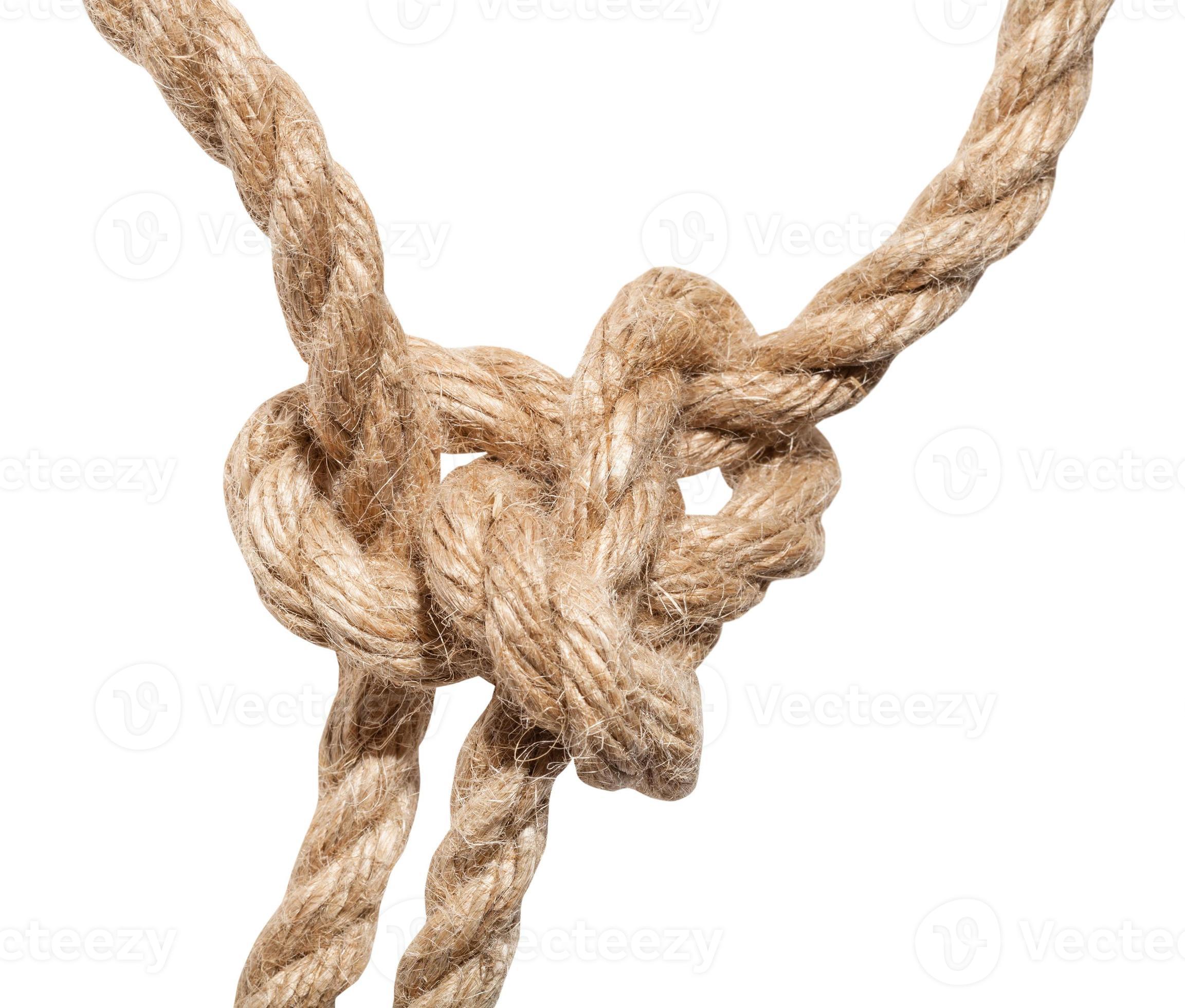 https://static.vecteezy.com/system/resources/previews/011/393/255/large_2x/running-bowline-knot-close-up-on-thick-jute-rope-photo.jpg