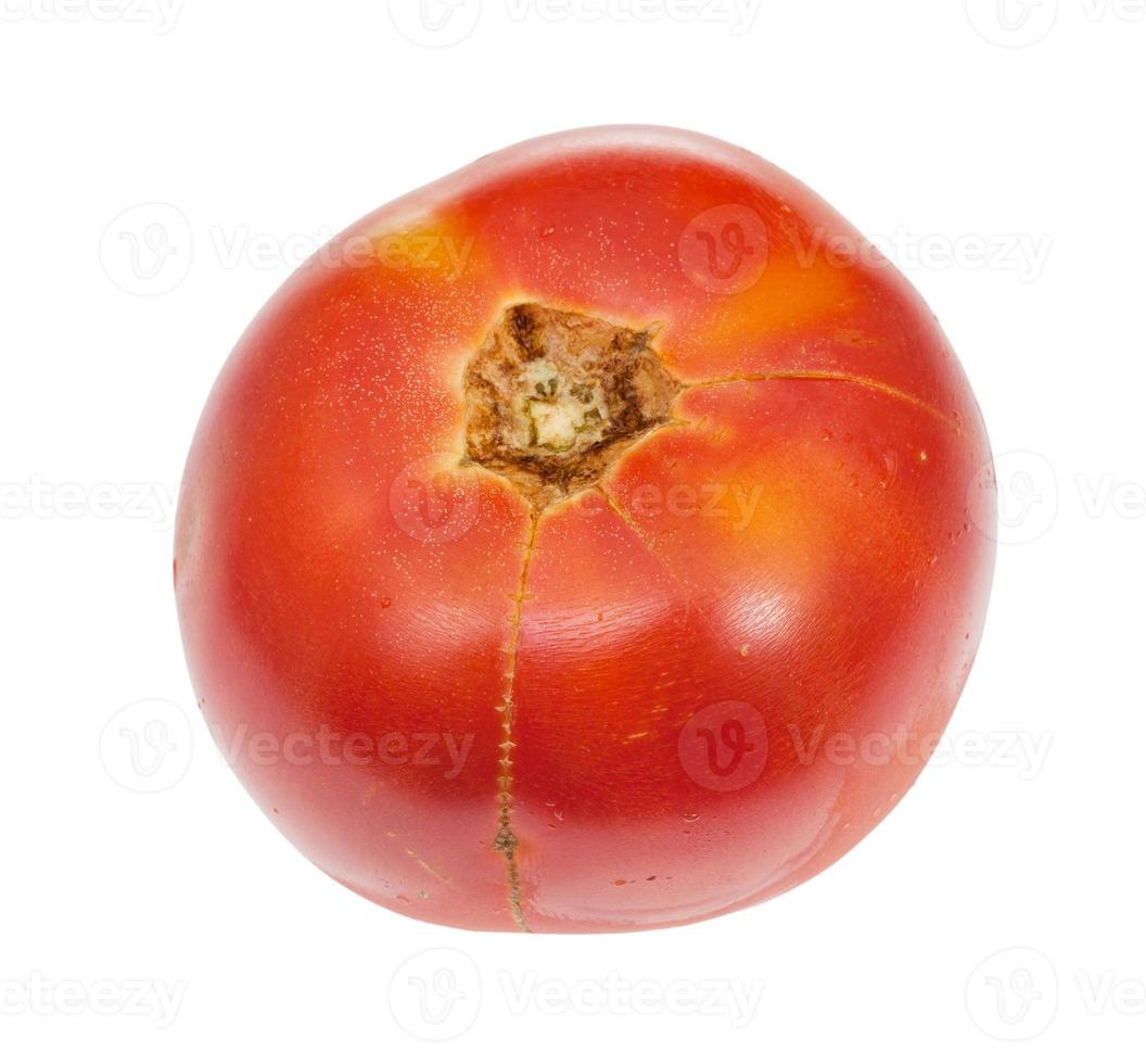 tomate rojo orgánico maduro aislado en blanco foto