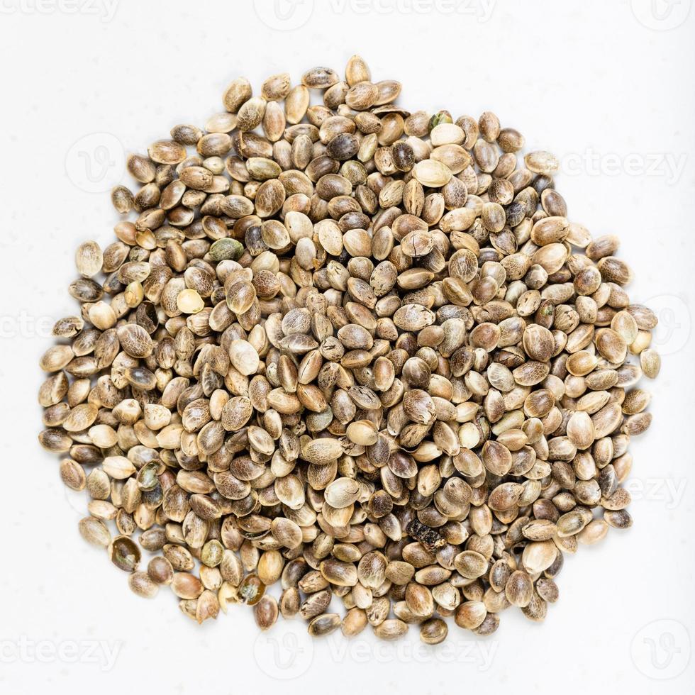 pile of unpeeled hemp seeds close up on gray photo