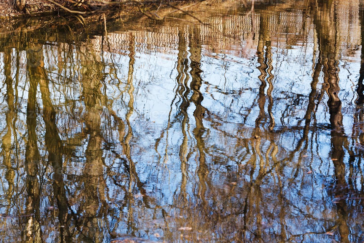 bare trees reflection in river water in spring photo