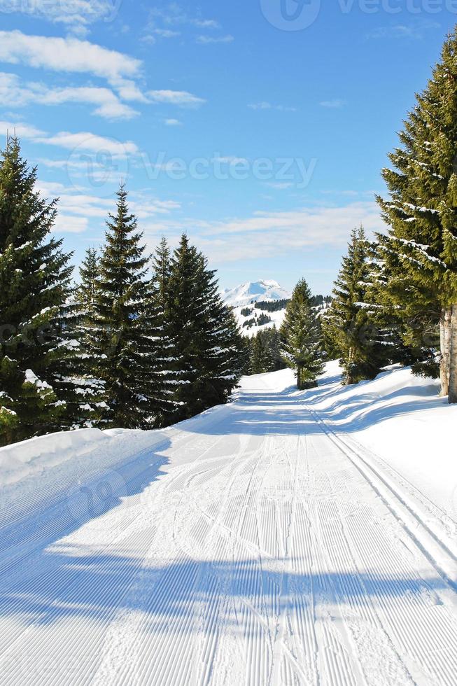 ski run in snow forest on mountain in Avoriaz photo