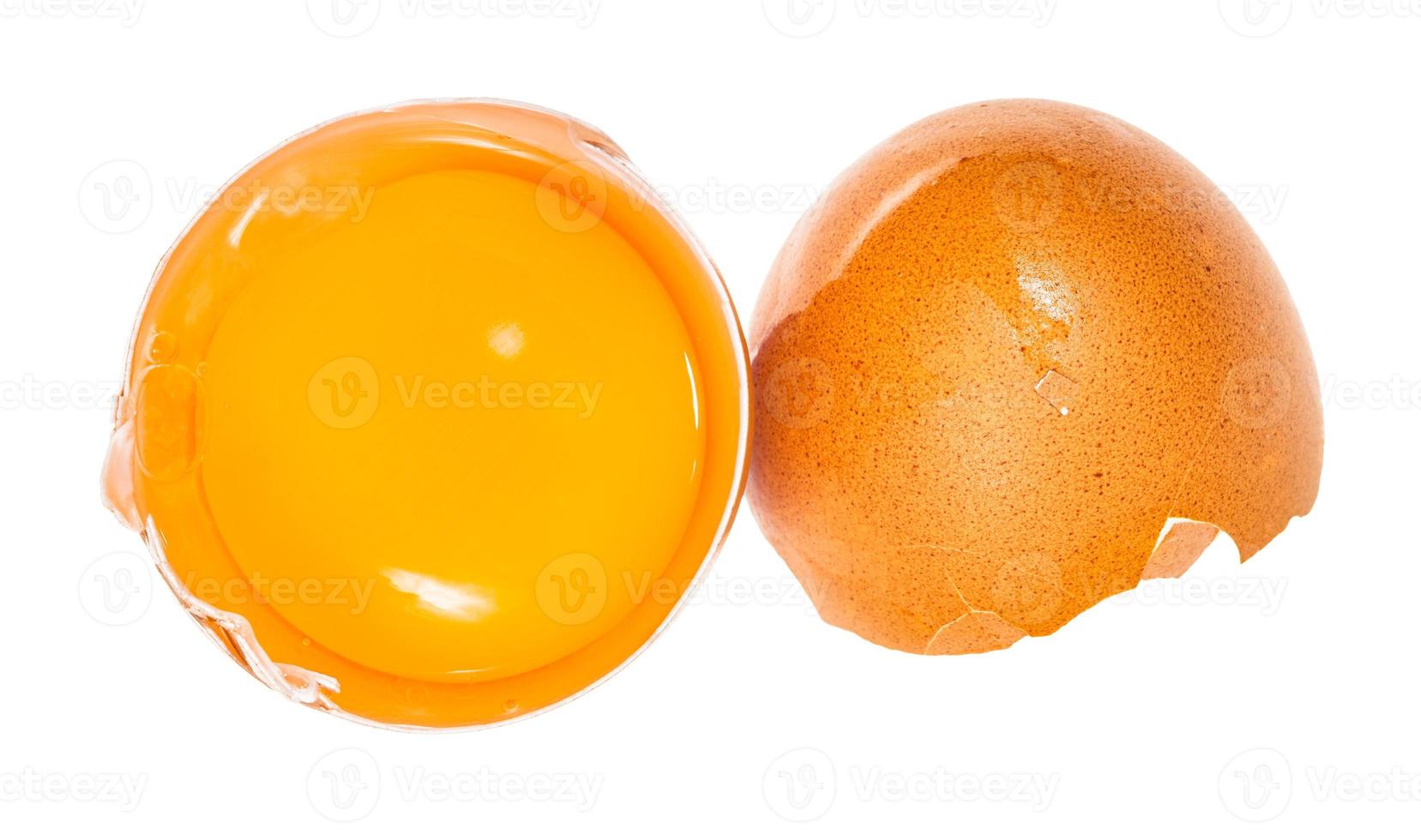 separated egg yolk in shell and brown eggshell photo