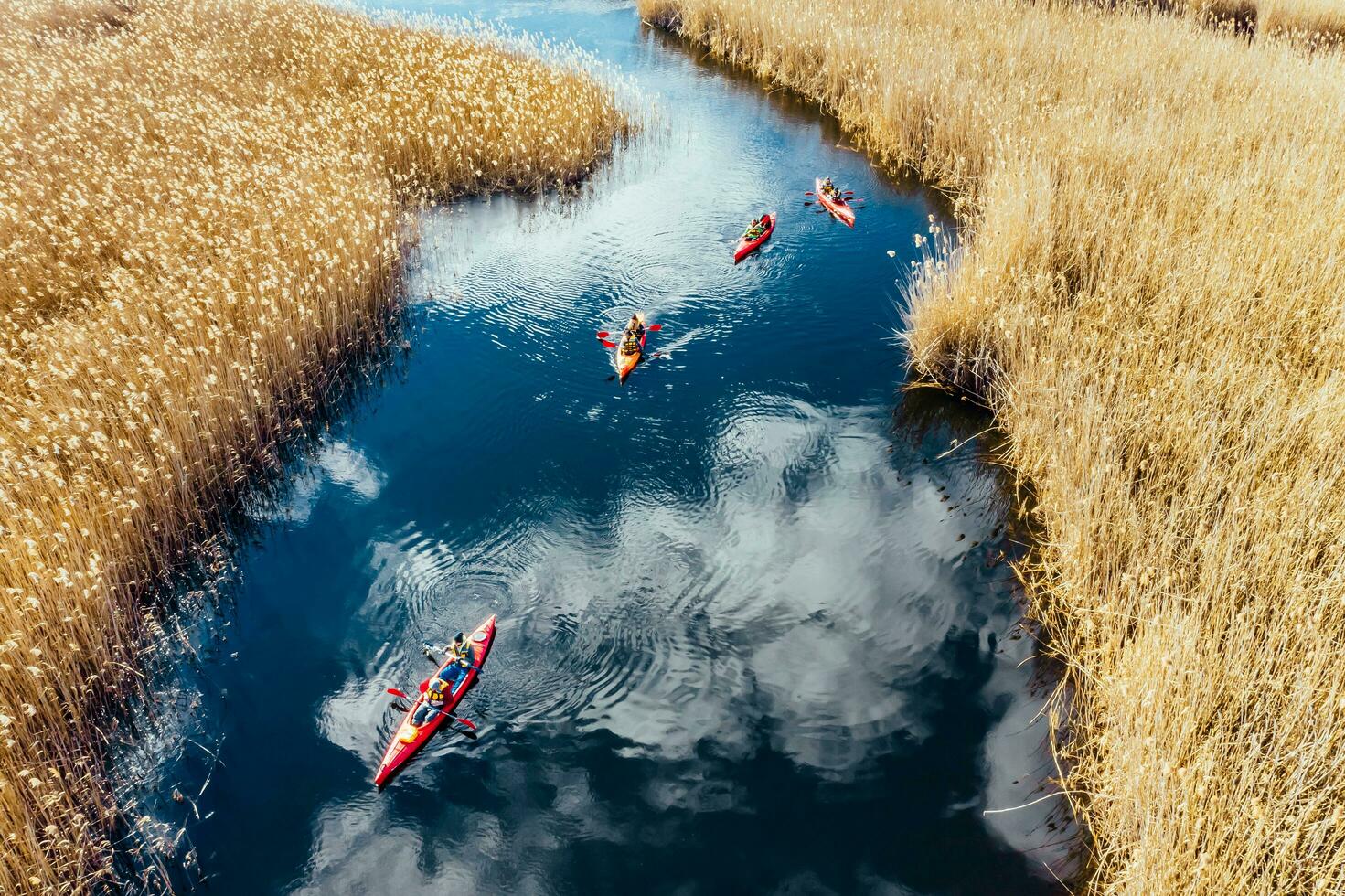 Group of people in kayaks among reeds on the autumn river. photo