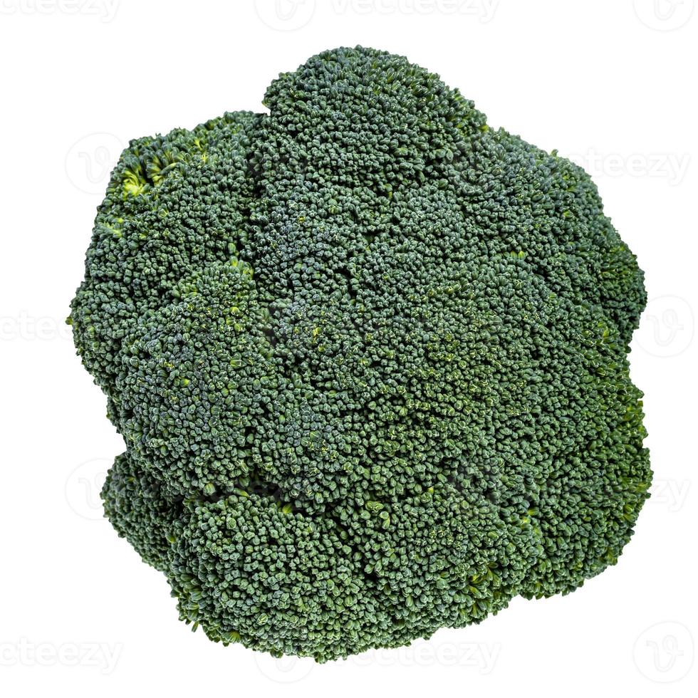 top view of piece of fresh green Broccoli isolated photo