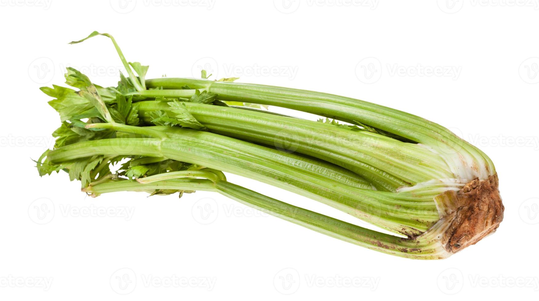 natural celery stalk isolated on white photo