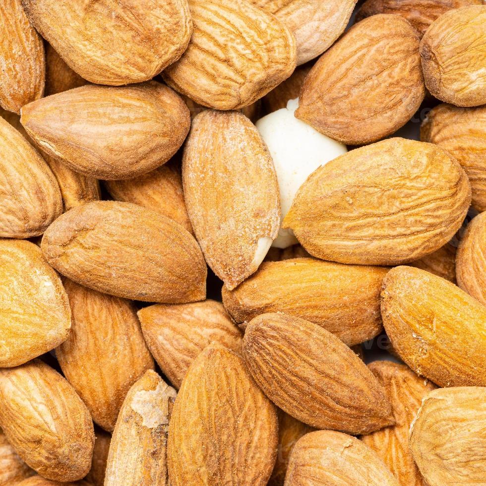 raw apricot kernels close up photo