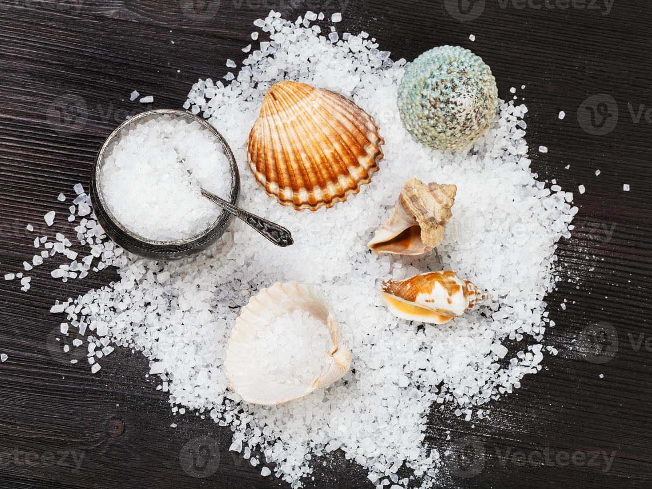 salt cellar, shells and coarse Sea Salt on table photo