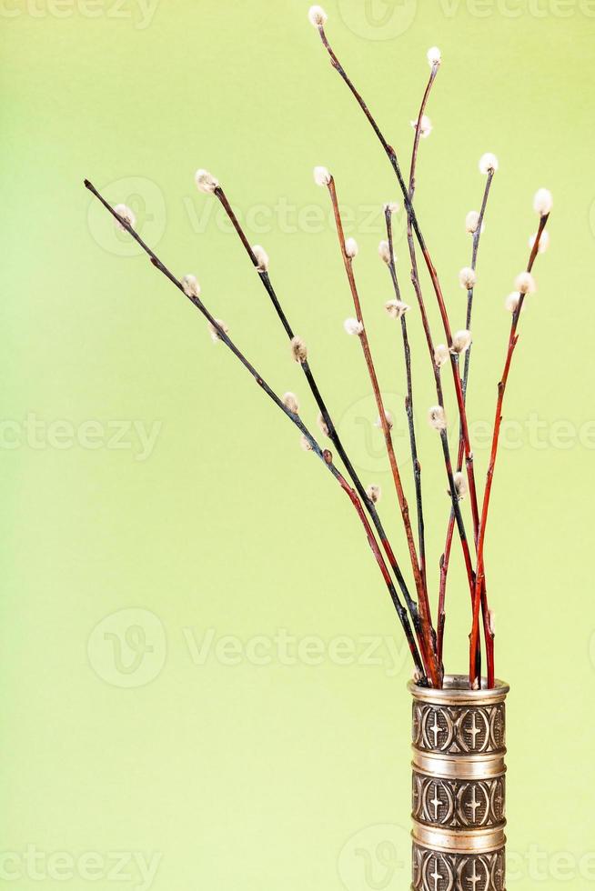 downy pussy-willow twigs in pewter jug on khaki photo