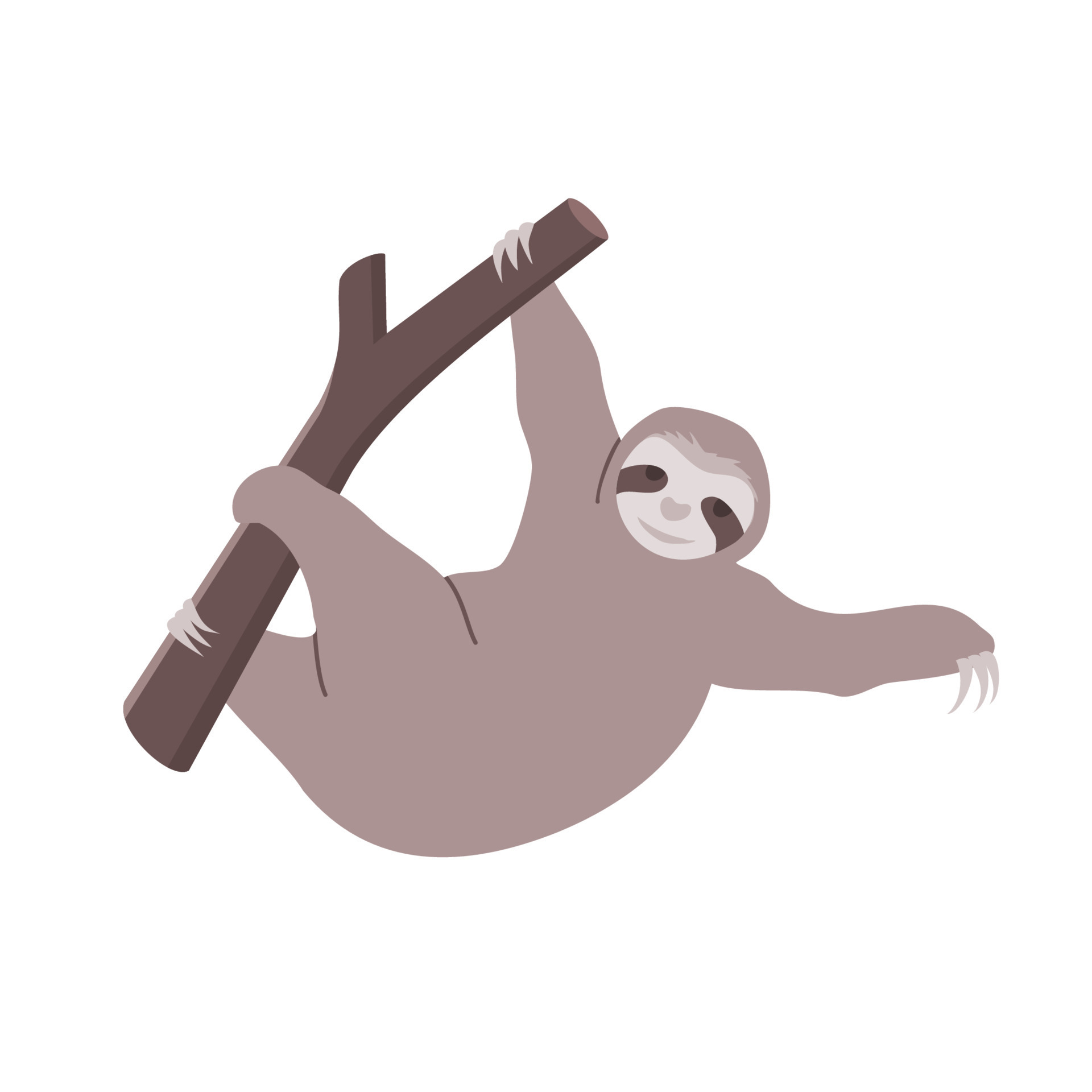 Sloth Hanging from Tree Branch Cute Cartoon Flat Vector Simple Illustration 11395768 Vector Art