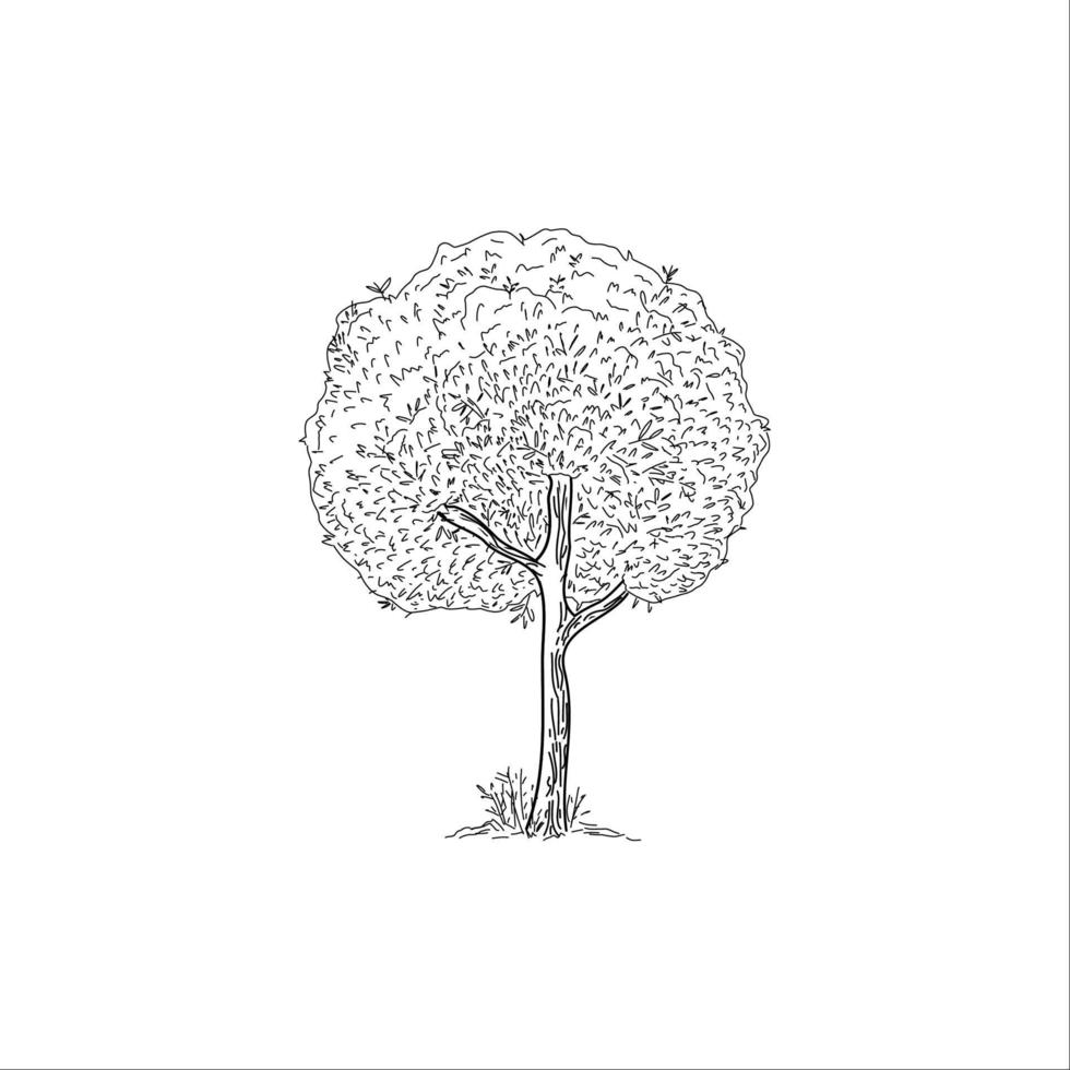 an abstract tree doodle sketch illustration vector isolated