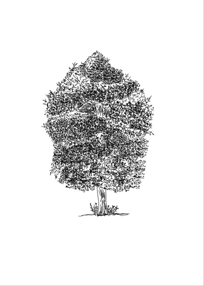 an abstract tree black and white sketch vector illustration pen style drawing isolated