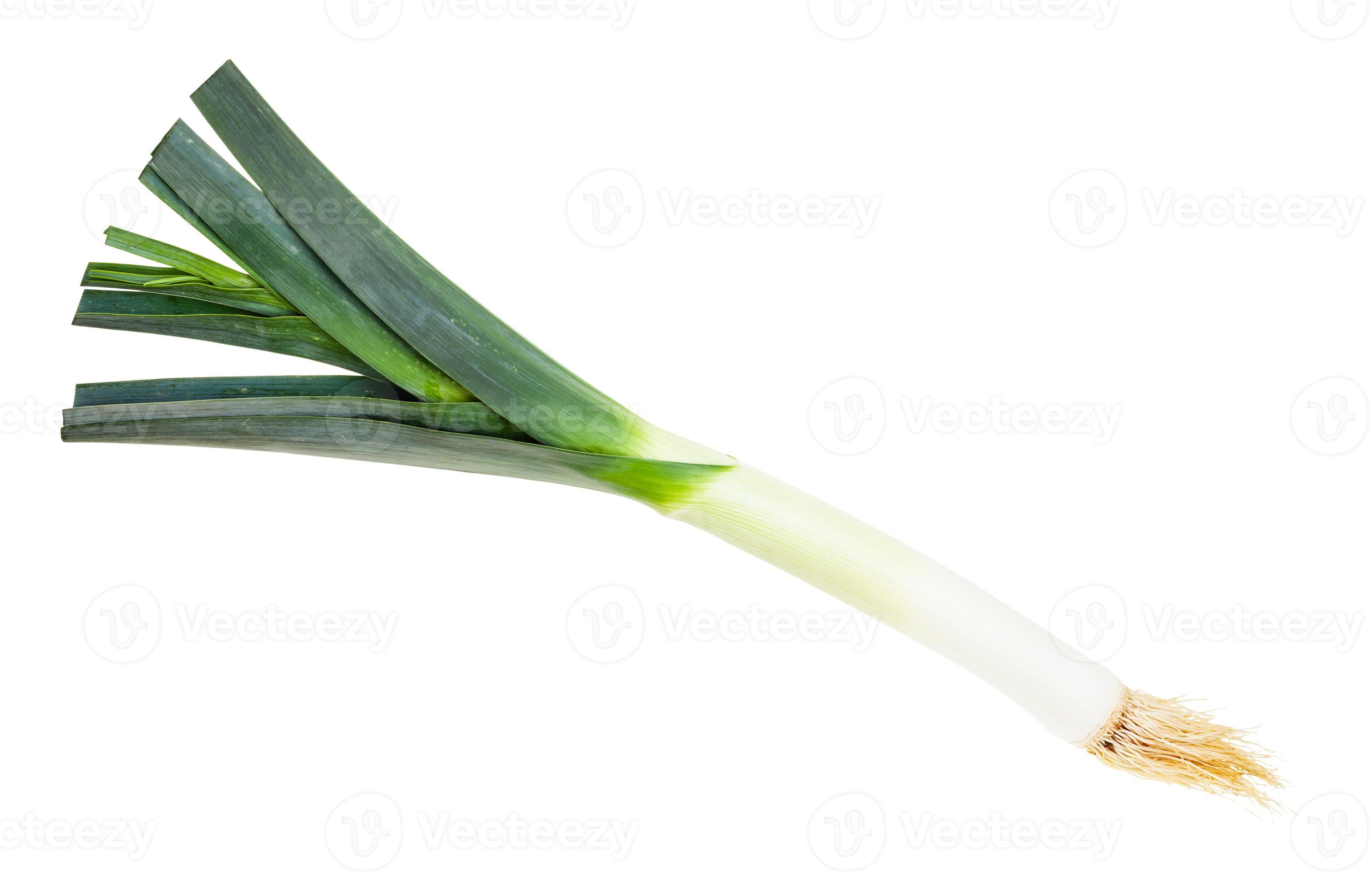 fresh leek with roots isolated on white 11395871 Stock Photo at Vecteezy