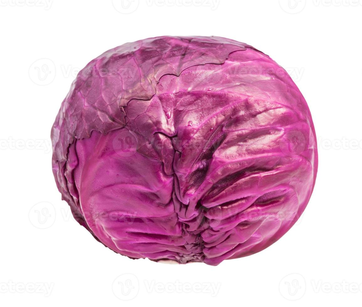 head of ripe red cabbage isolated on white photo