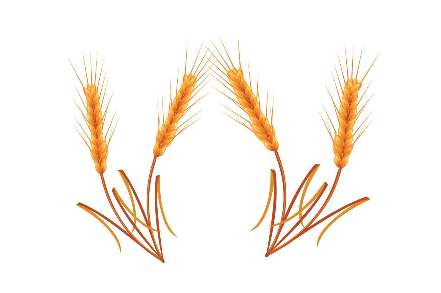 Concept of Golden wheat vector illustration design