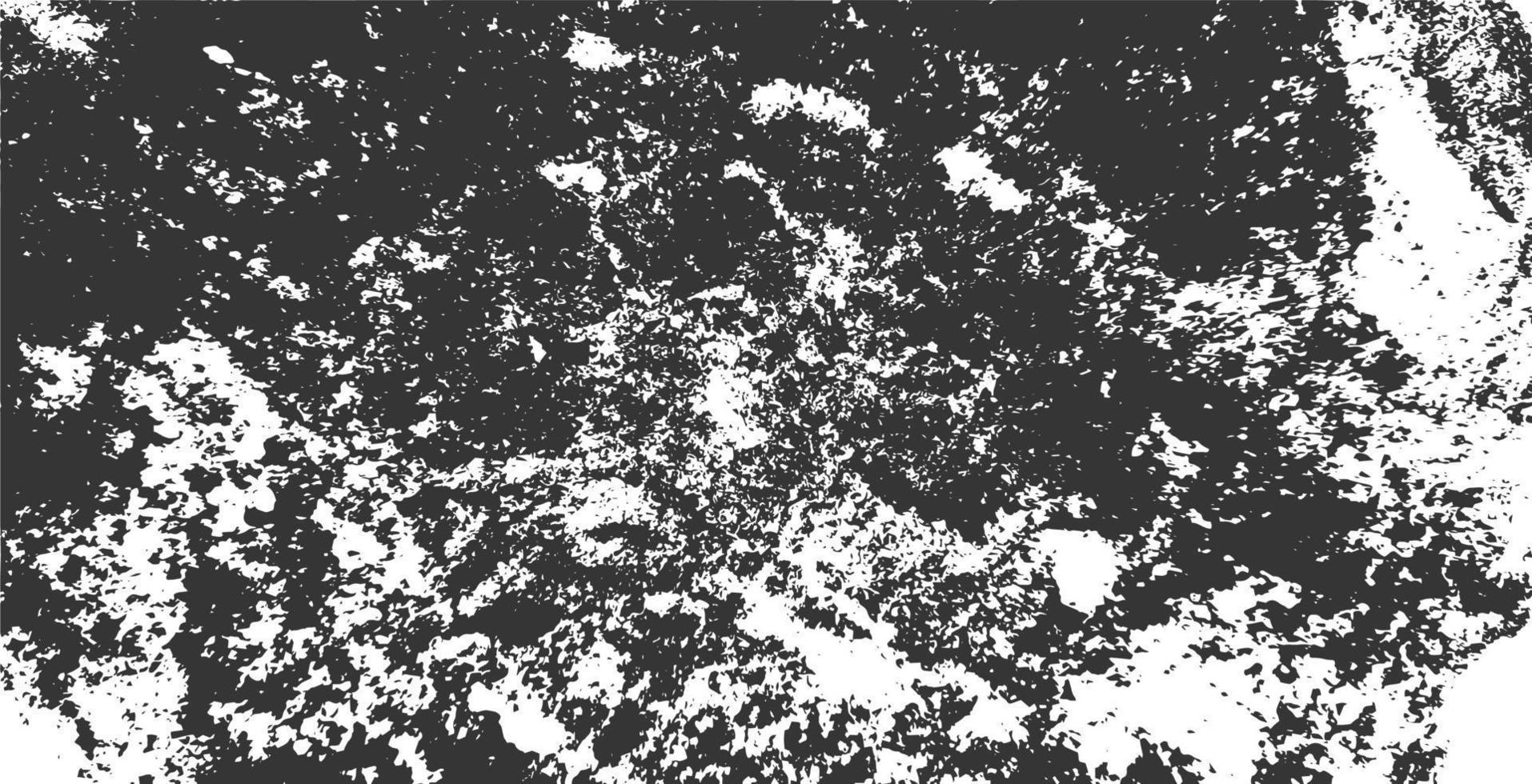 Abstract grunge texture monochrome background vector