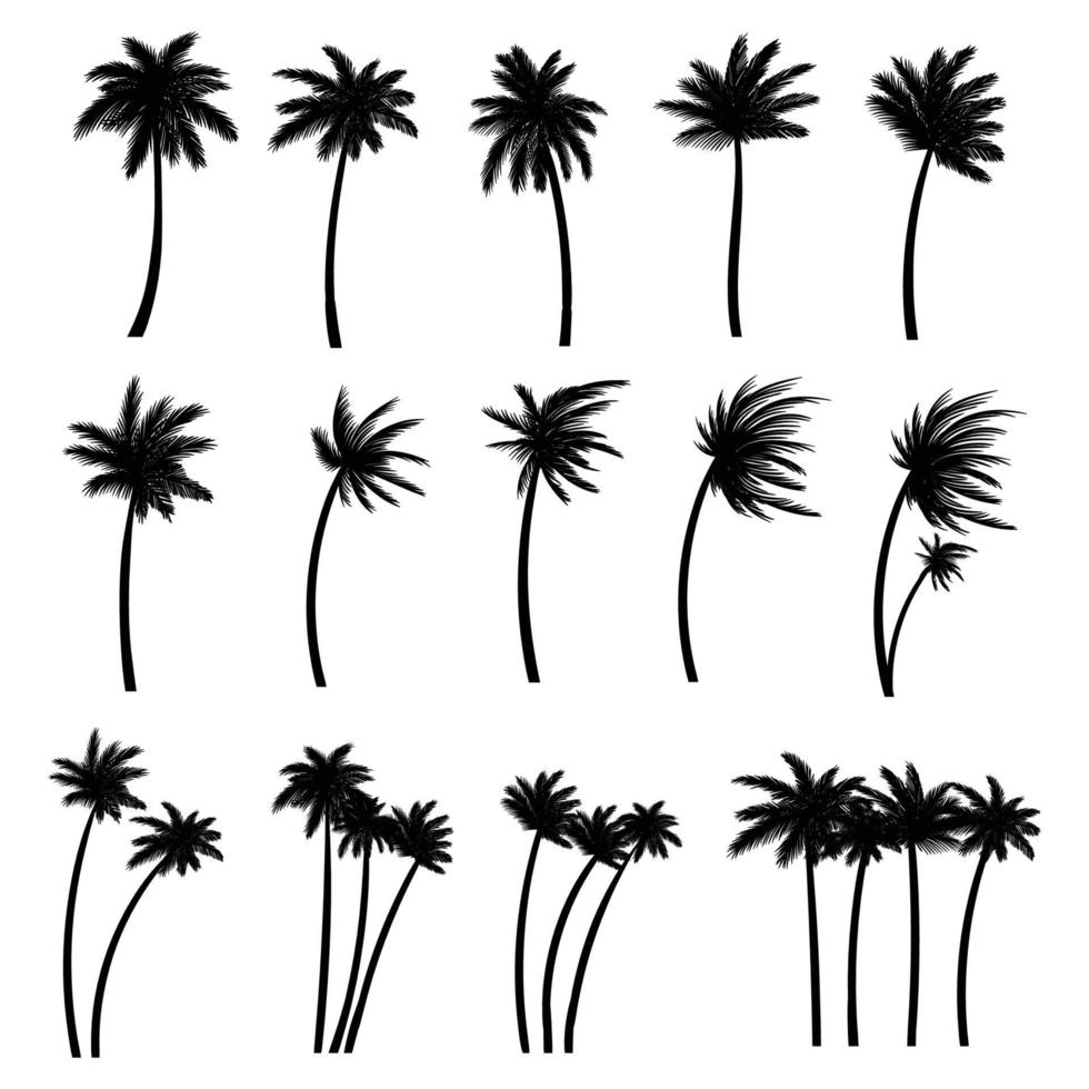 Palm tree silhouette set collection vector illustration