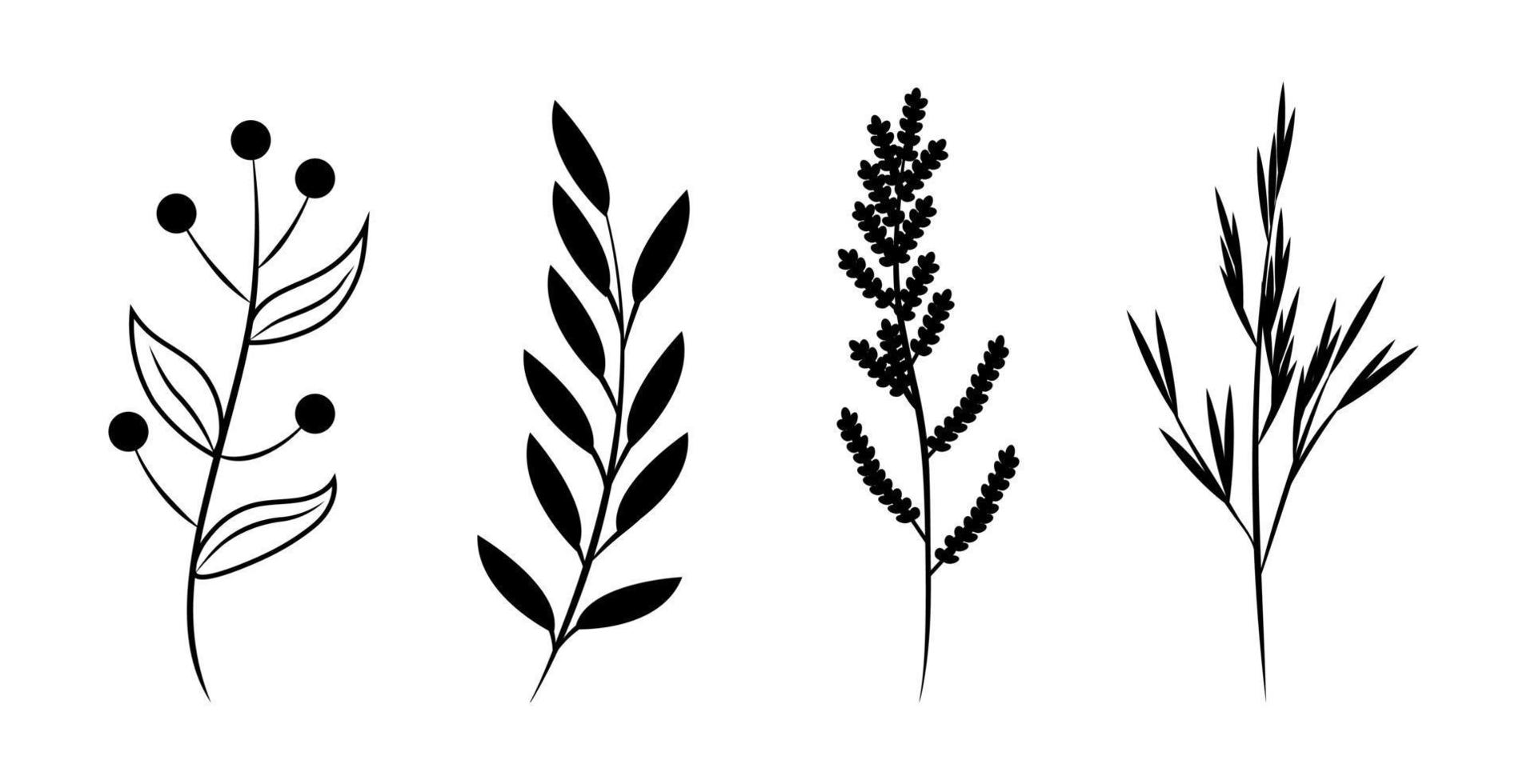 conjunto floral de elementos botánicos dibujados a mano. vector