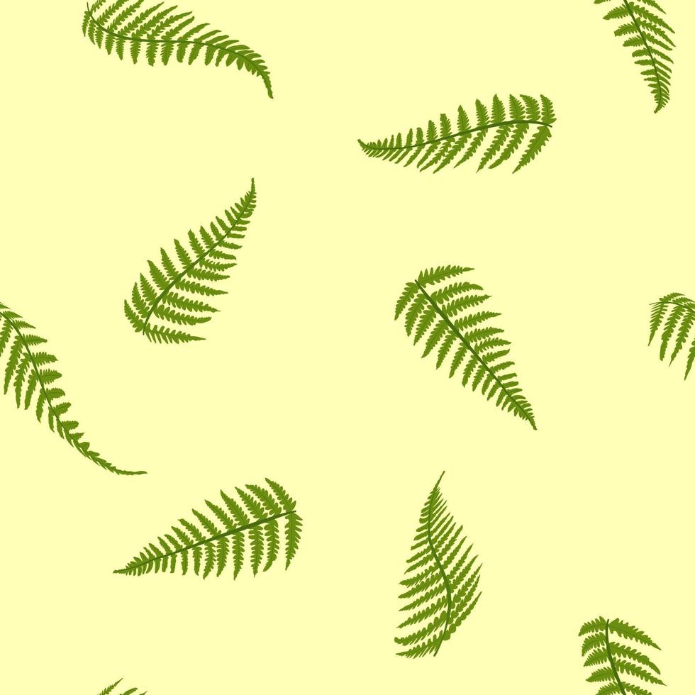 Set of fern frond. Vector flat illustration