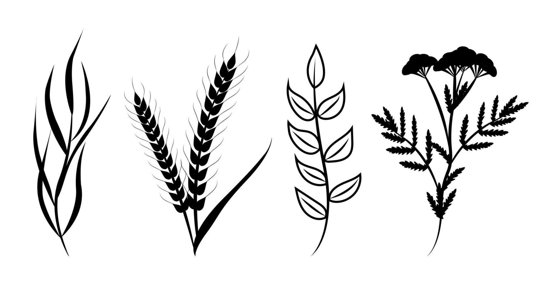 Floral set of hand drawn botanic elements. Vector