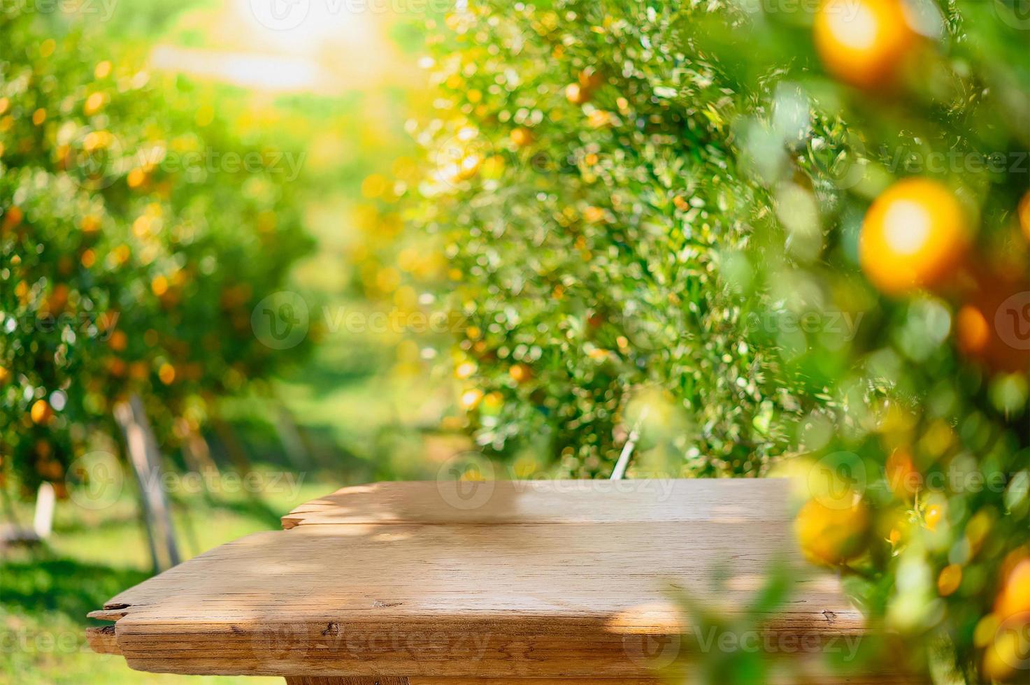 Empty wood table with free space over orange trees, orange field background. For product display montage photo