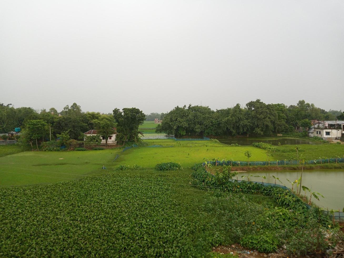 Green Nature Cloudy Rainy Village Greenery Scenerio photo