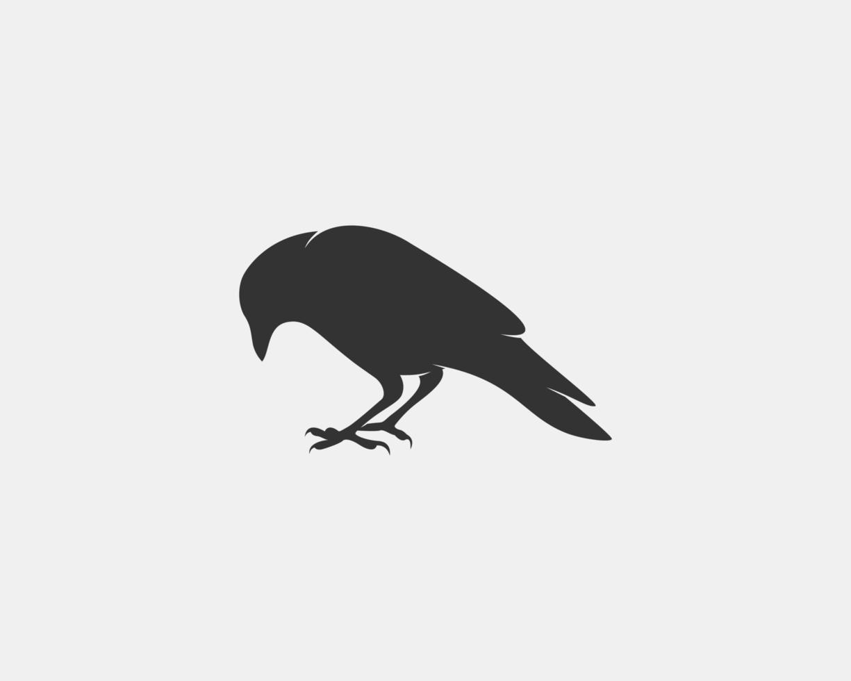 crow vector silhouette