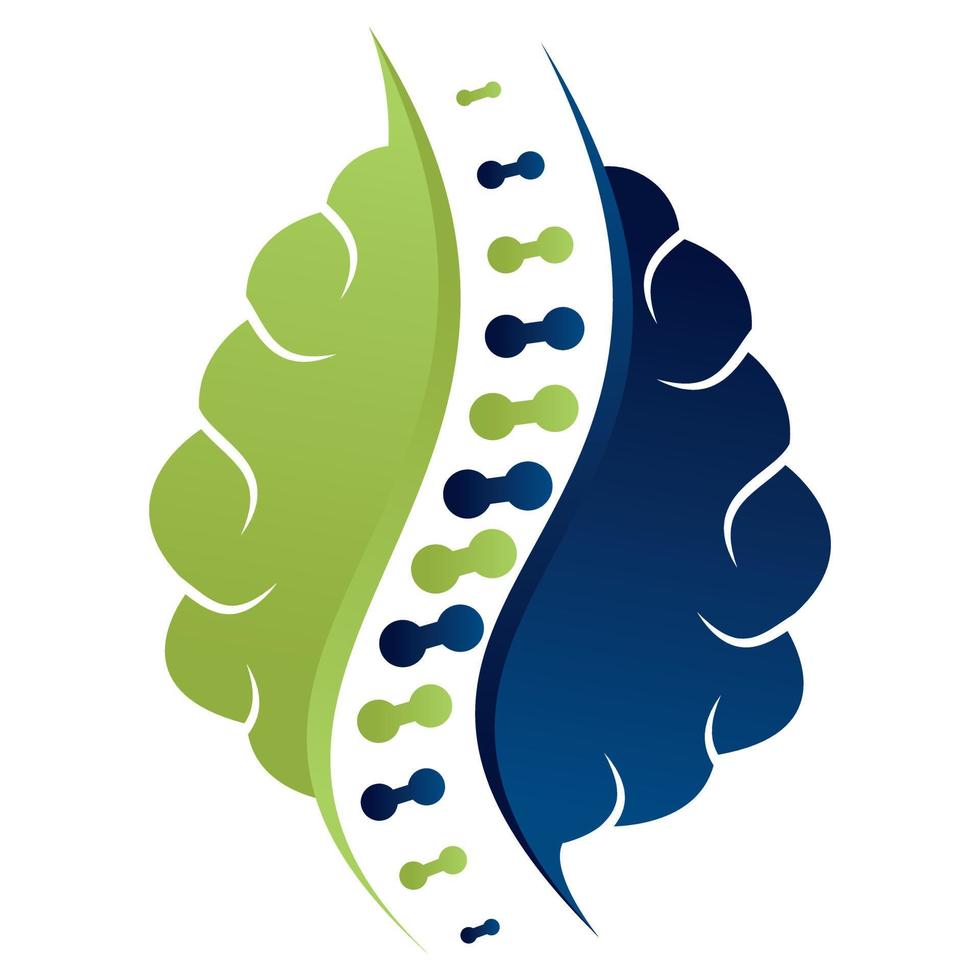 Brain with back bone symbol represent chiropractic therapy. Brain and spinal column logo vector