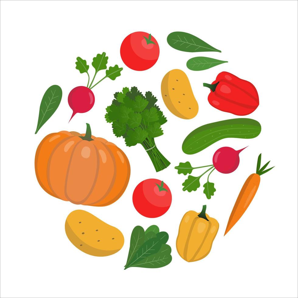 Round composition of vegetables on a white background. vector