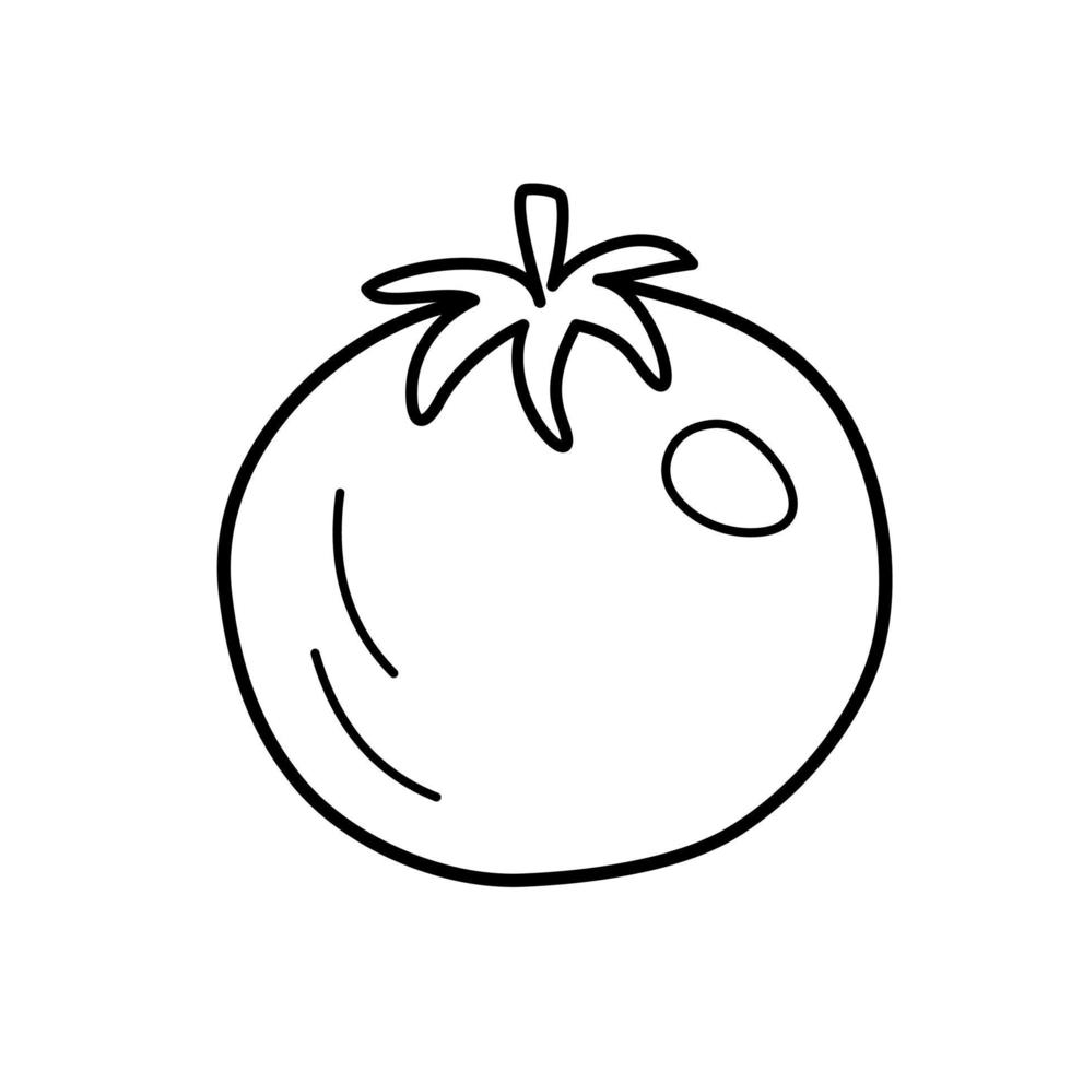 Hand drawn tomato in black color vector