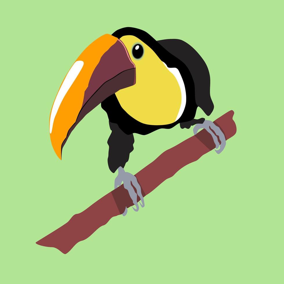 Toucan bird on the branch in flat technique vector
