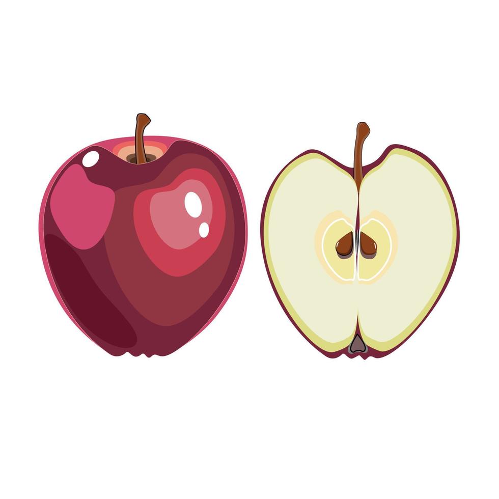 manzana roja entera y media vector